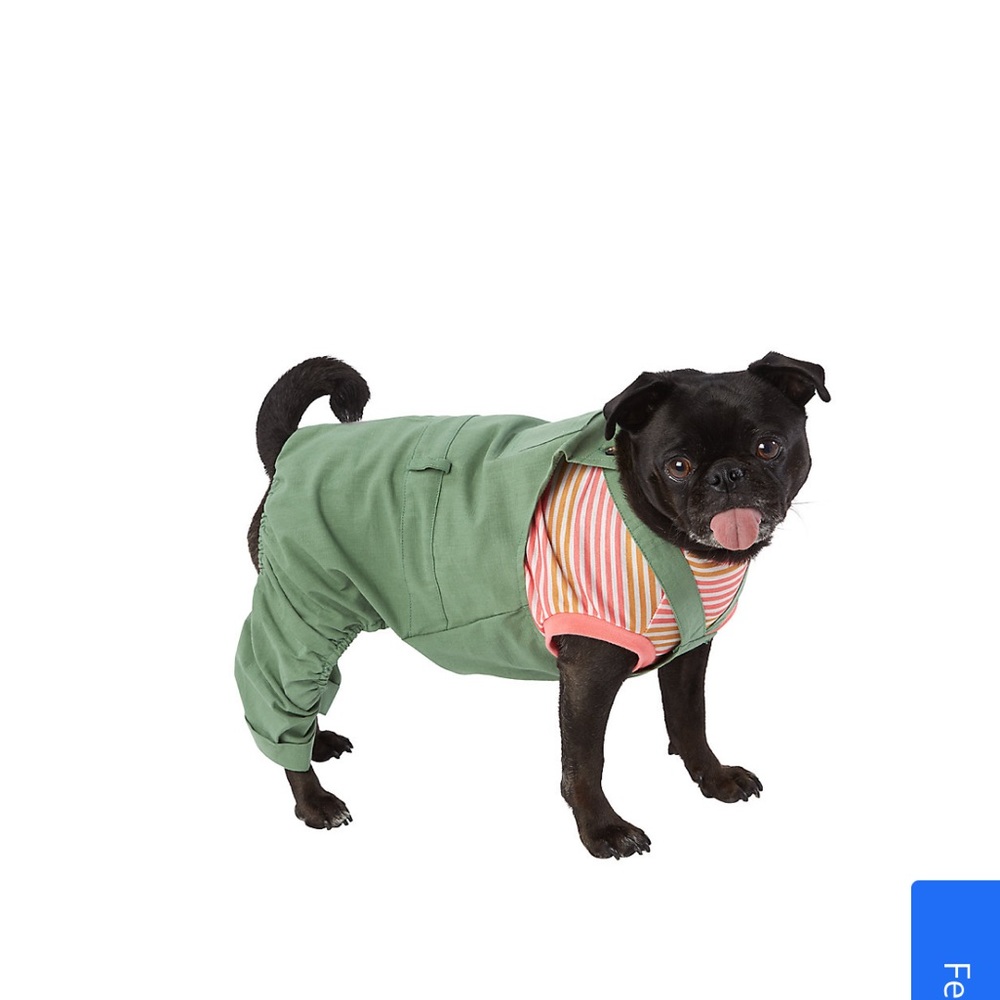Top paw dog overalls